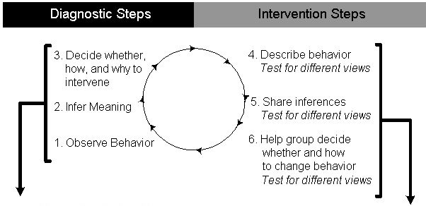 Diagnostic Intervention Cycle